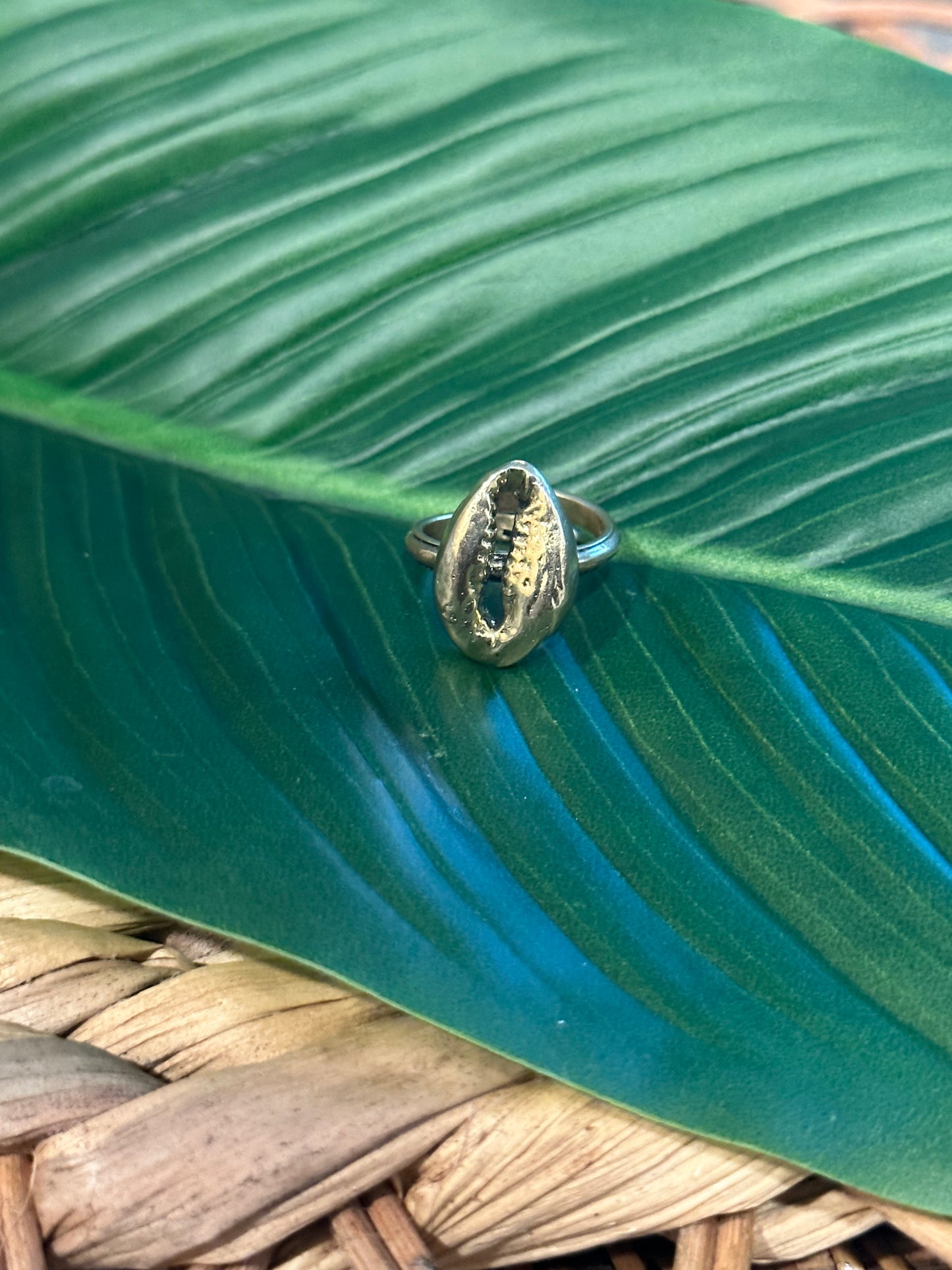 Zuri Cowrie Anel Estilo 2