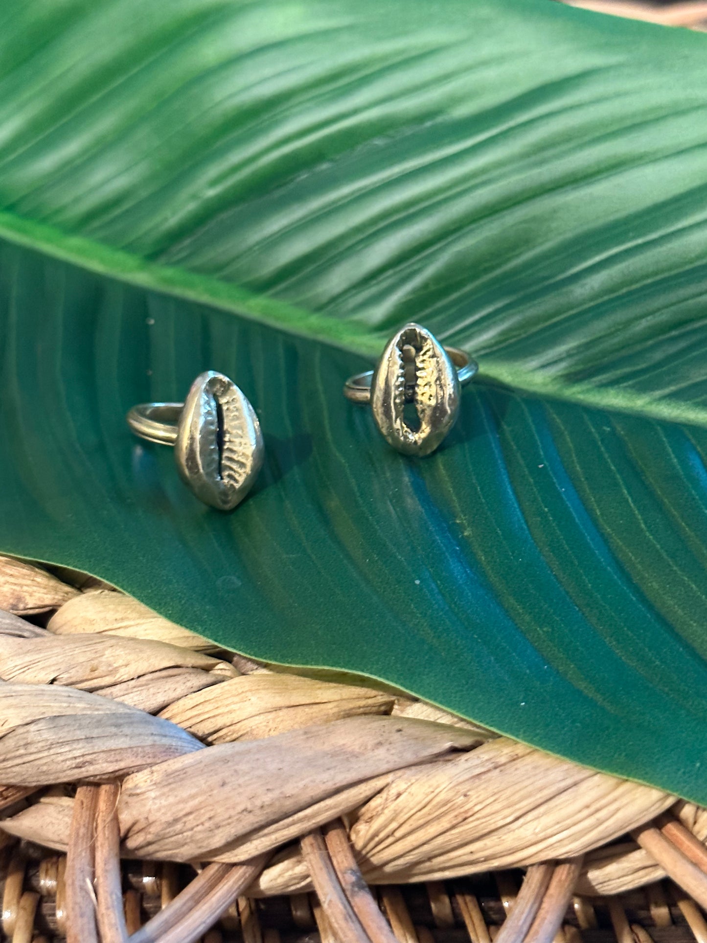 Zuri Cowrie Anel Estilo 2