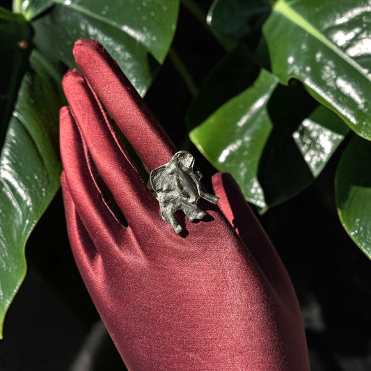 Tembo Silver Ring