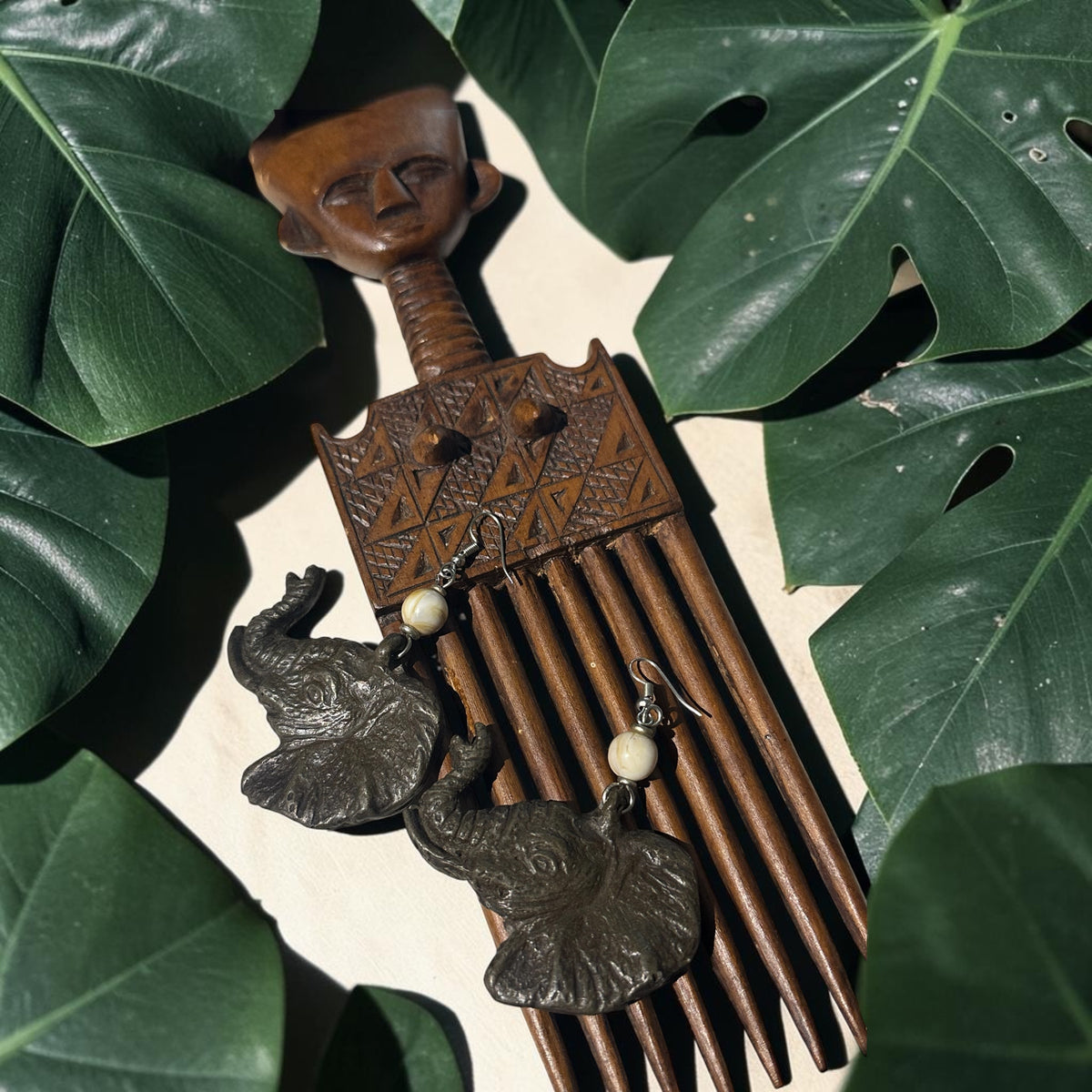 The Wisdom I Carry Earrings