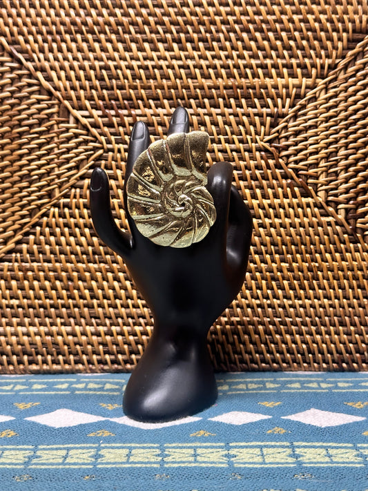 Nautilus Spiral Brass Ring