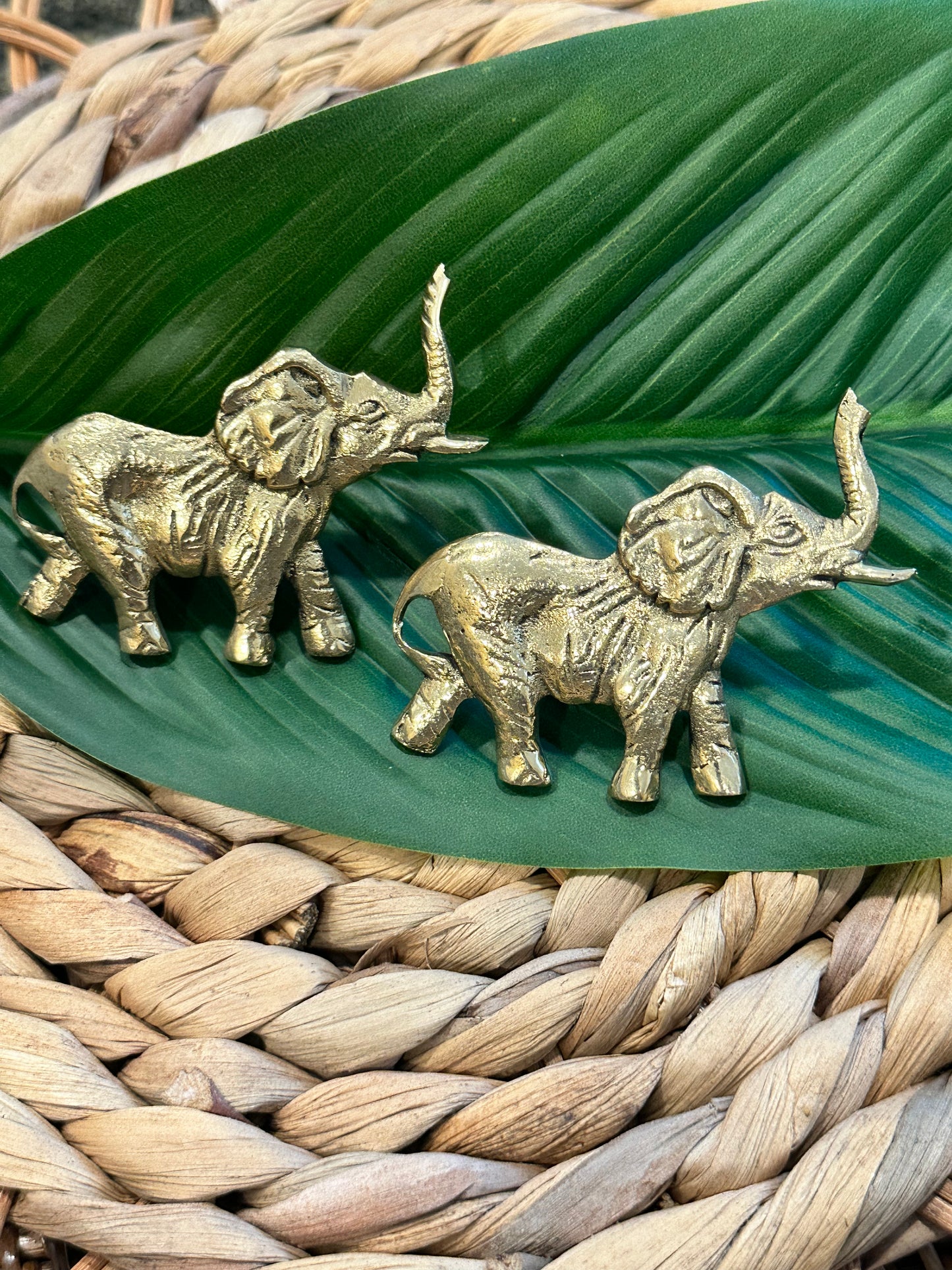 Majestic Elephant Brass Ring
