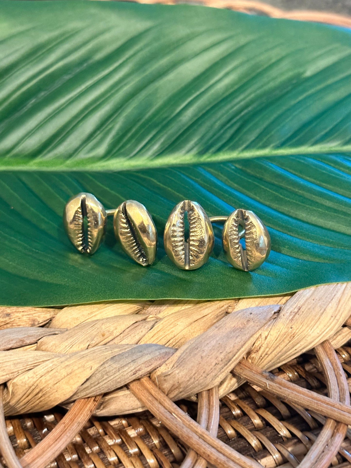 Alheri Double Cowrie Ring
